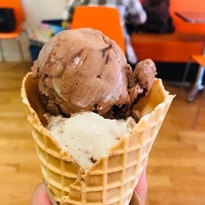 Meet your Posher, Shelly